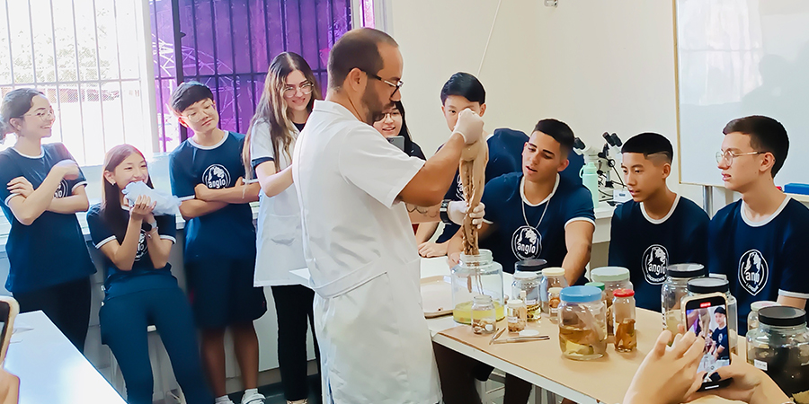 aula no laboratório e o papel do professor no equilíbrio emocional dos alunos