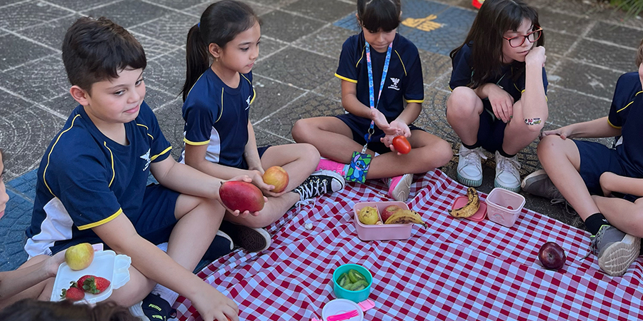 picnic de alunos  e como fortalecer a imunidade infantil com hábitos saudáveis
